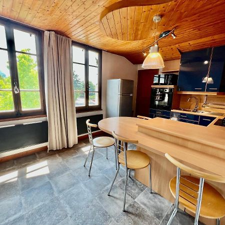 La Branche Du Cerisier Appartement Annecy Buitenkant foto