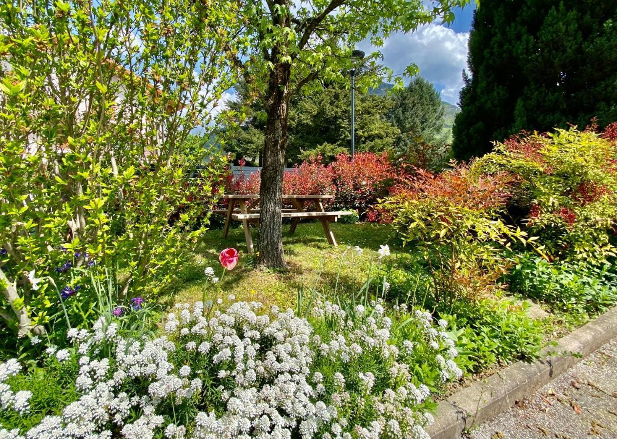 La Branche Du Cerisier Appartement Annecy Buitenkant foto